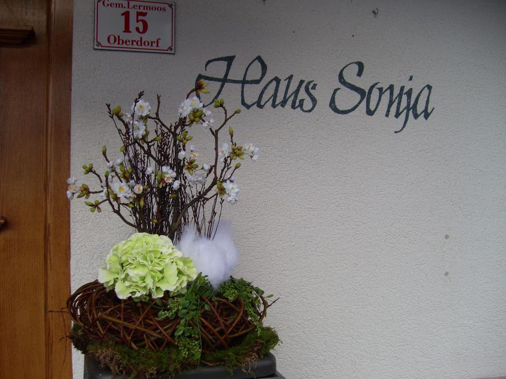 Appartement Haus Sonja